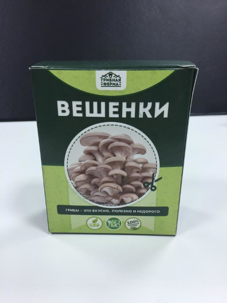 Домашняя грибница в Москве в Москве