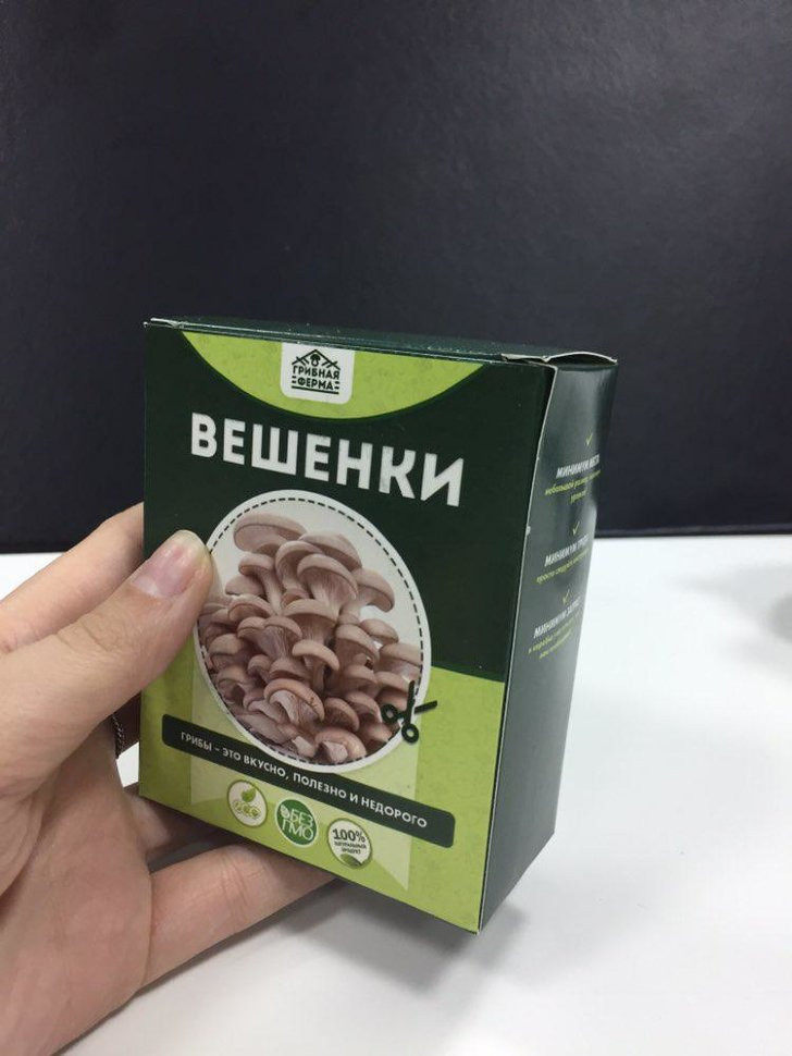 Домашняя грибница в Москве в Москве