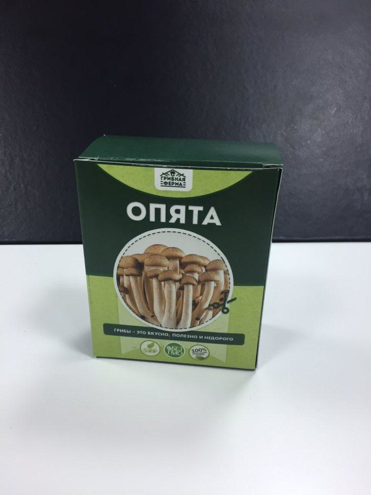 Домашняя грибница в Москве в Москве