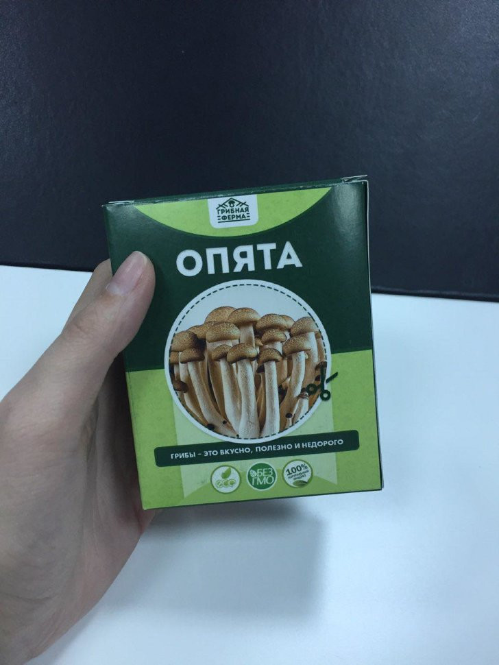 Домашняя грибница в Москве в Москве