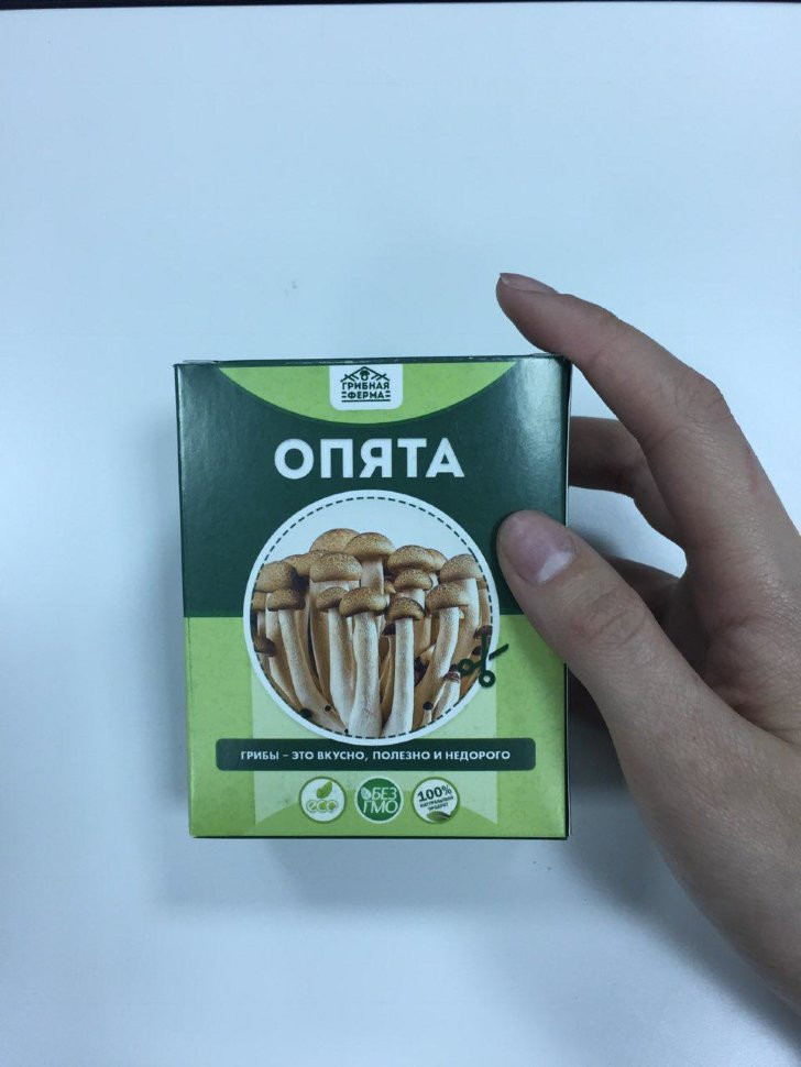 Домашняя грибница в Москве в Москве