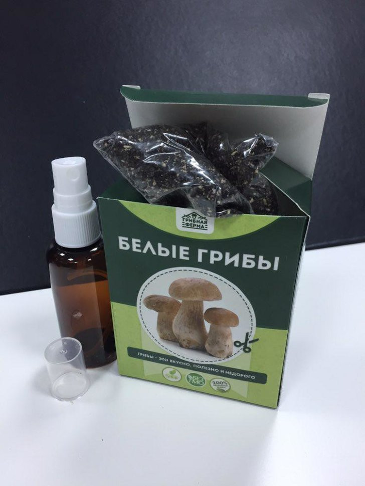 Домашняя грибница в Москве в Москве