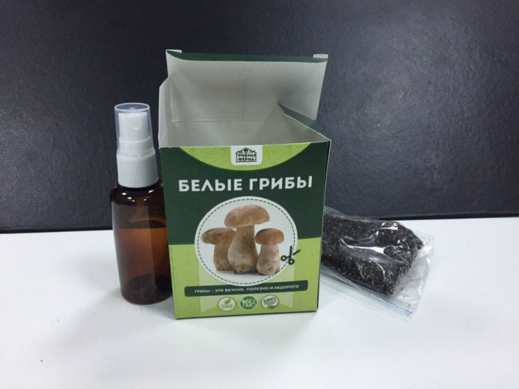 Домашняя грибница в Москве в Москве