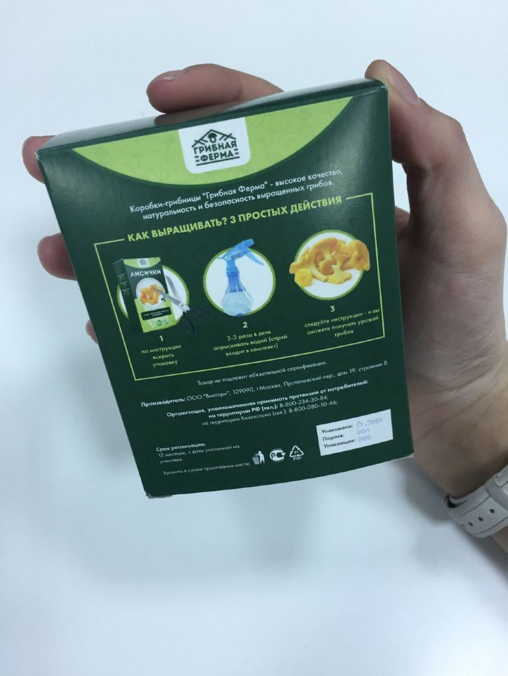 Домашняя грибница в Москве в Москве