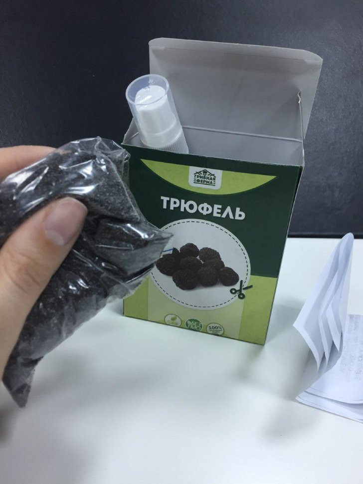 Домашняя грибница в Москве в Москве