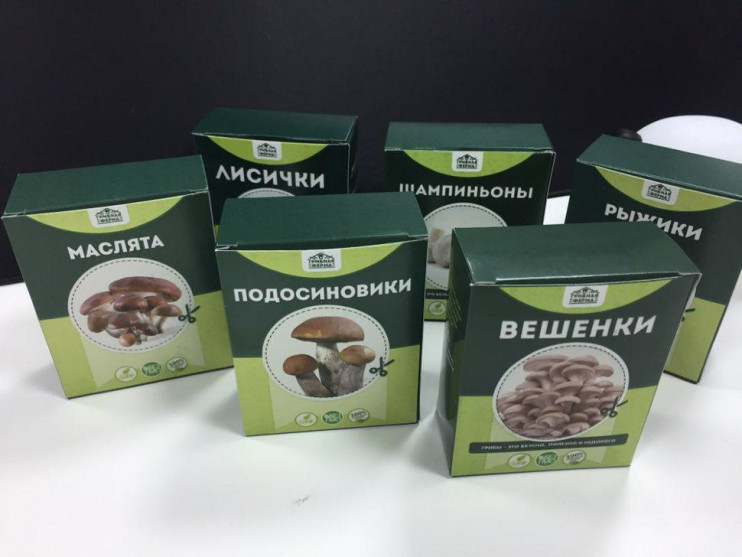 Домашняя грибница в Москве в Москве