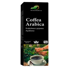Мини-деревья Coffea Arabica