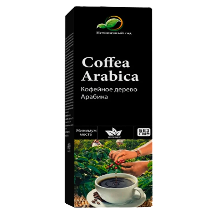 Мини-деревья Coffea Arabica в Череповеце в Череповеце