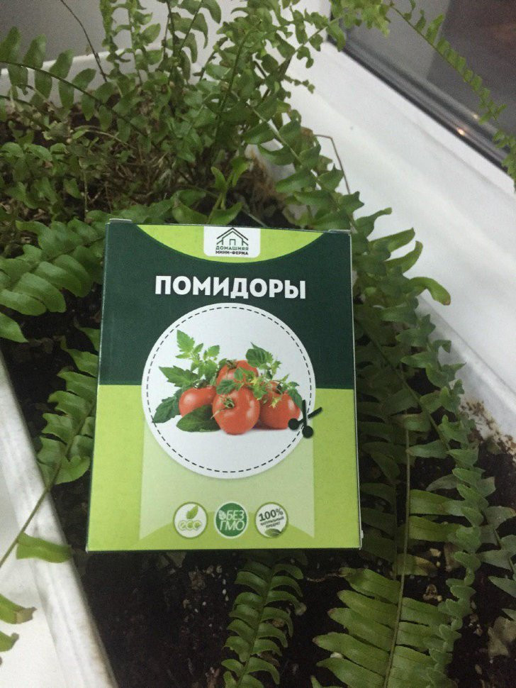 Домашняя мини-ферма в Москве в Москве