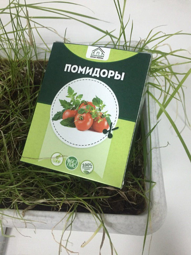 Домашняя мини-ферма в Москве в Москве