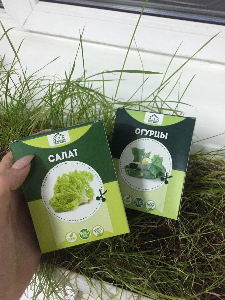 Домашняя мини-ферма в Москве в Москве