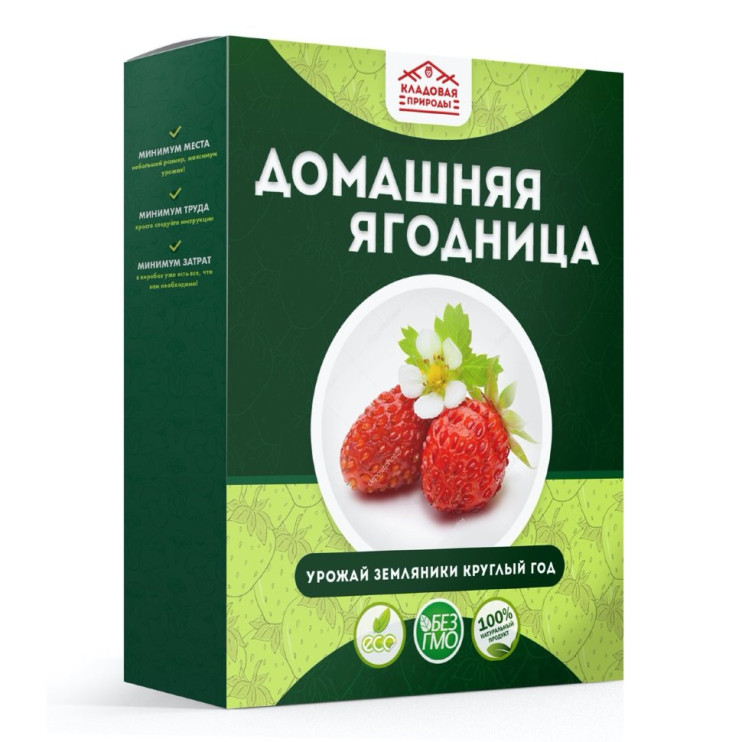 Домашняя ягодница в Курске в Курске