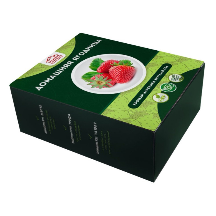 Домашняя ягодница в Курске в Курске