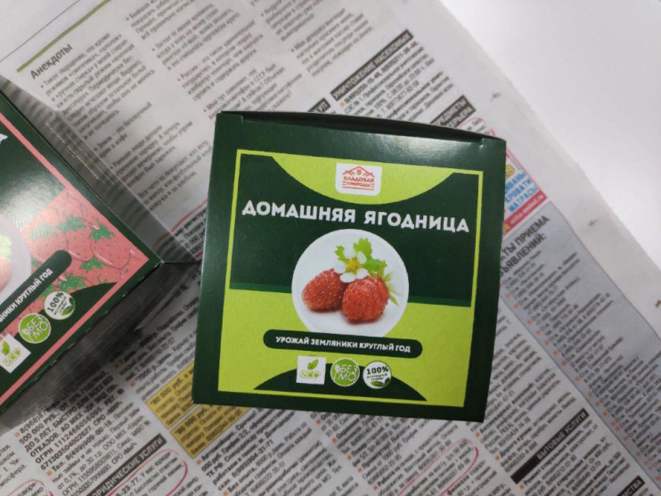 Домашняя ягодница в Курске в Курске