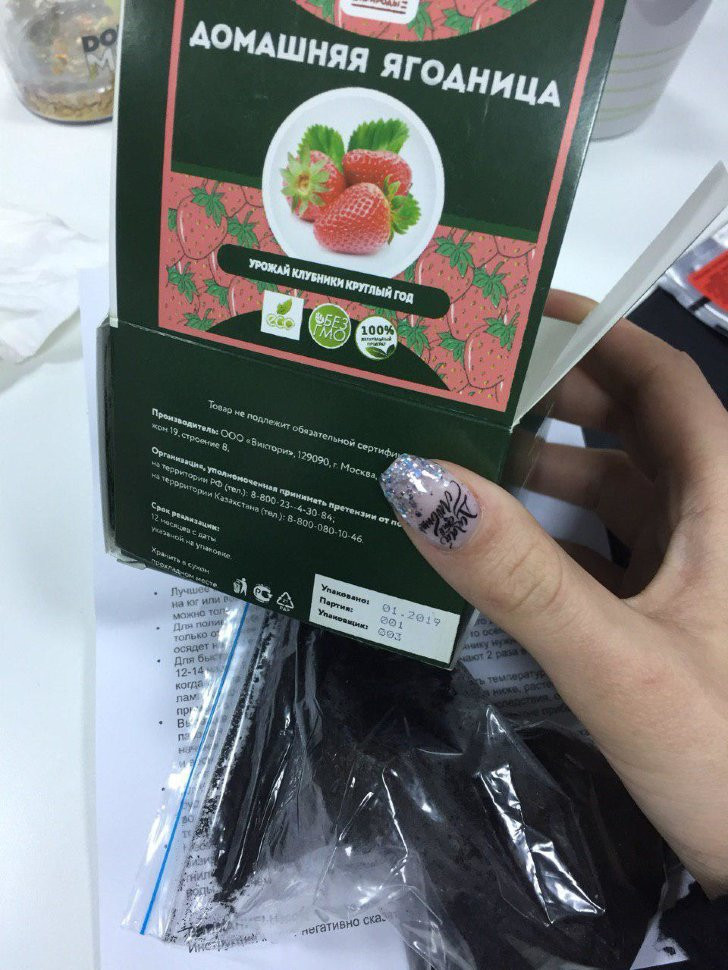 Домашняя ягодница в Курске в Курске