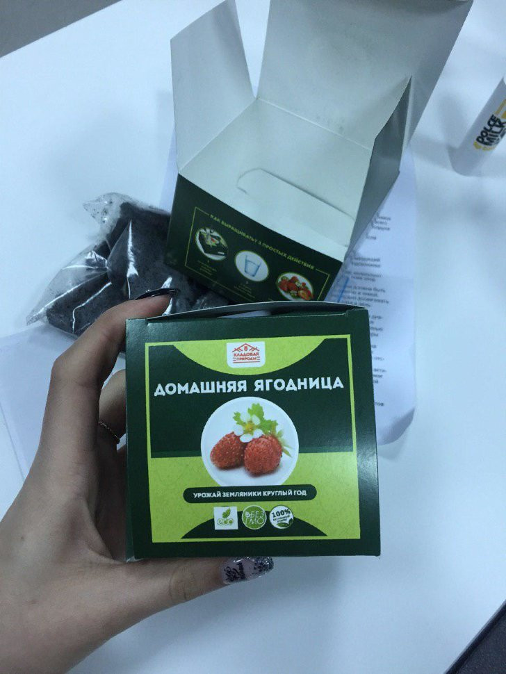 Домашняя ягодница в Курске в Курске