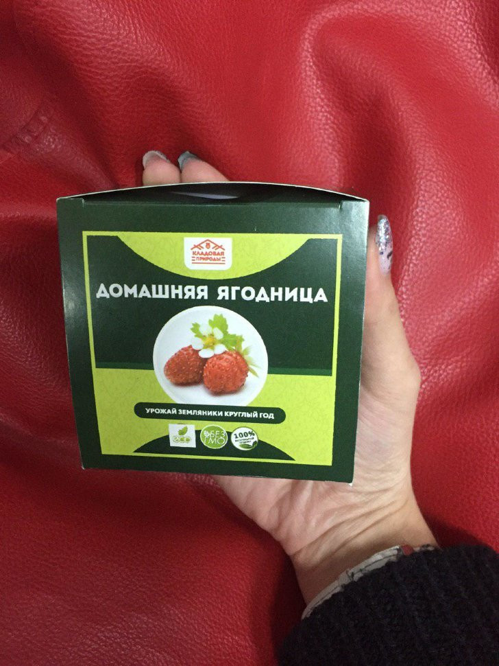 Домашняя ягодница в Курске в Курске