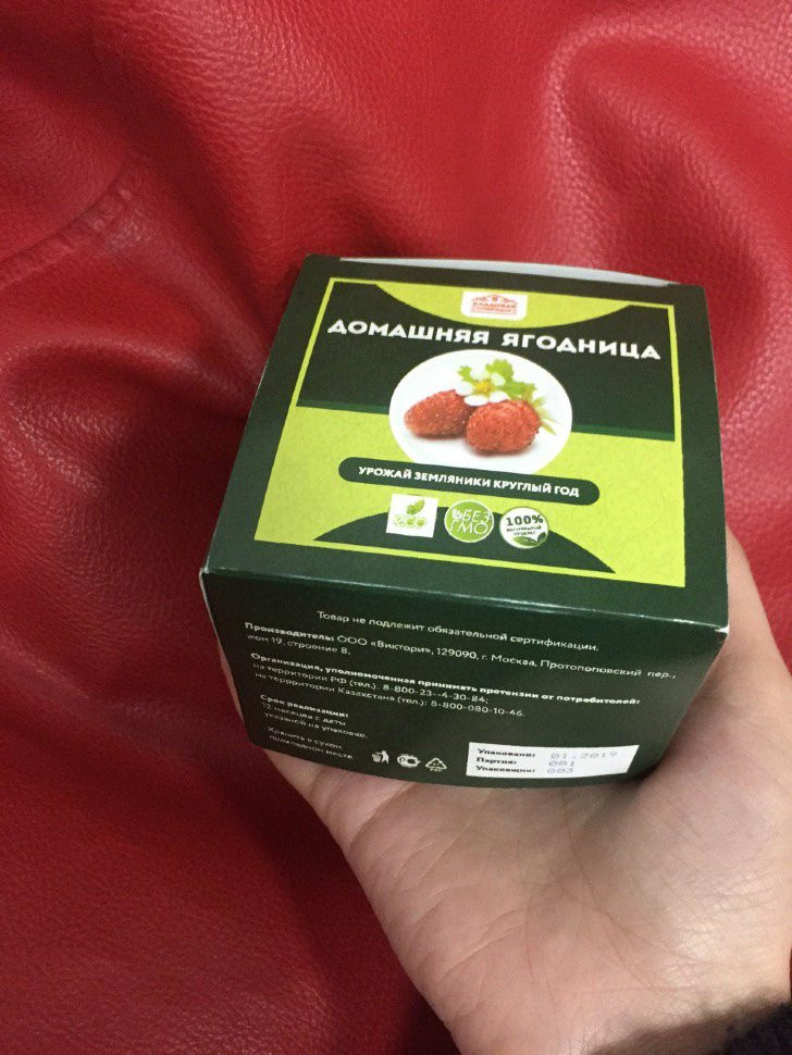 Домашняя ягодница в Курске в Курске