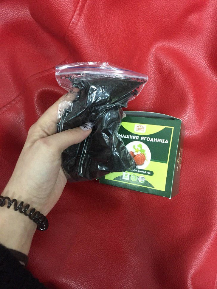 Домашняя ягодница в Курске в Курске
