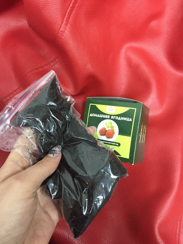 Домашняя ягодница в Курске в Курске