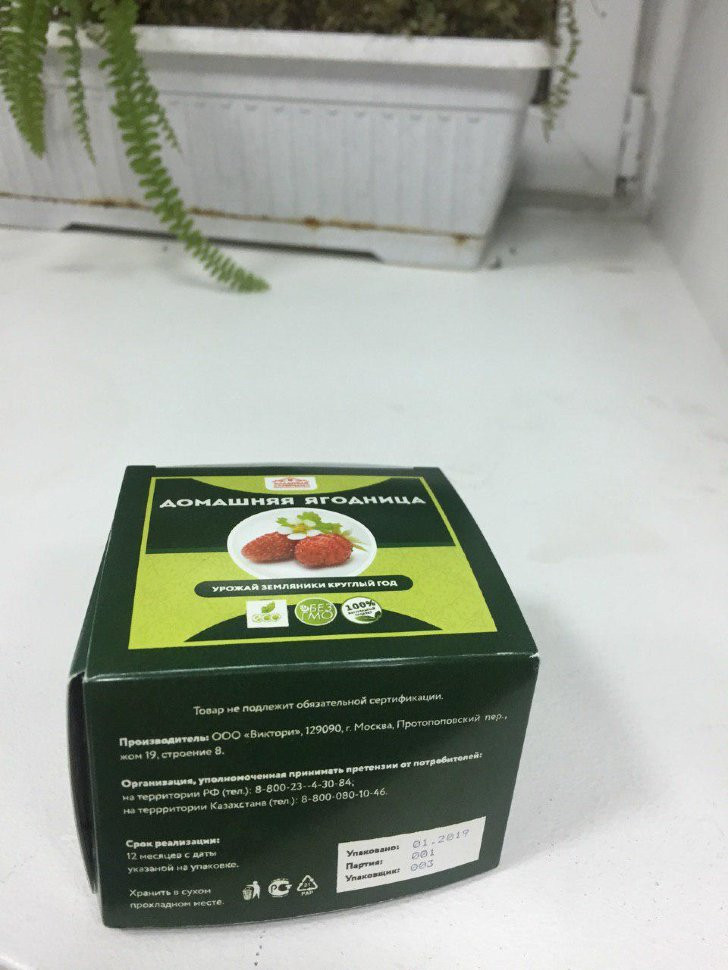 Домашняя ягодница в Курске в Курске