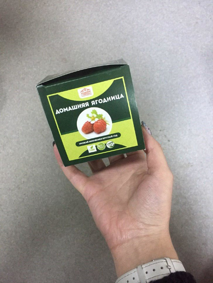 Домашняя ягодница в Курске в Курске