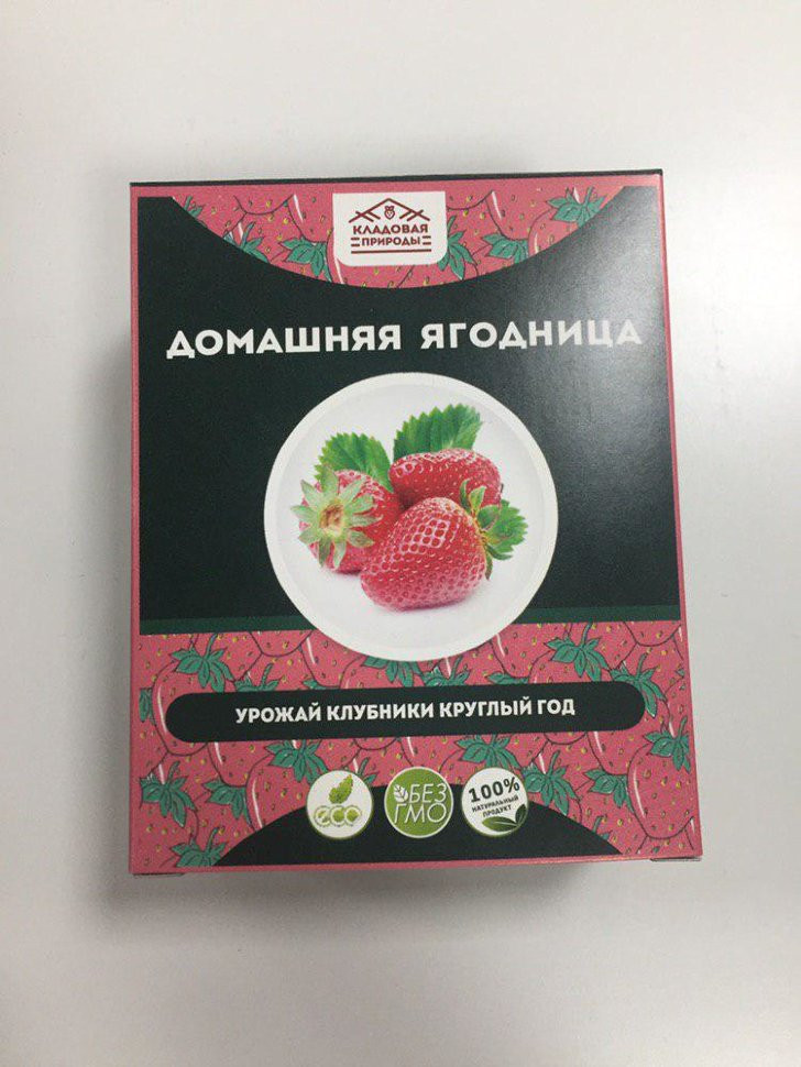 Домашняя ягодница в Курске в Курске