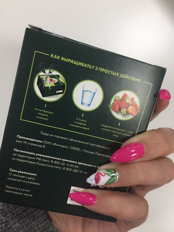 Домашняя ягодница в Курске в Курске