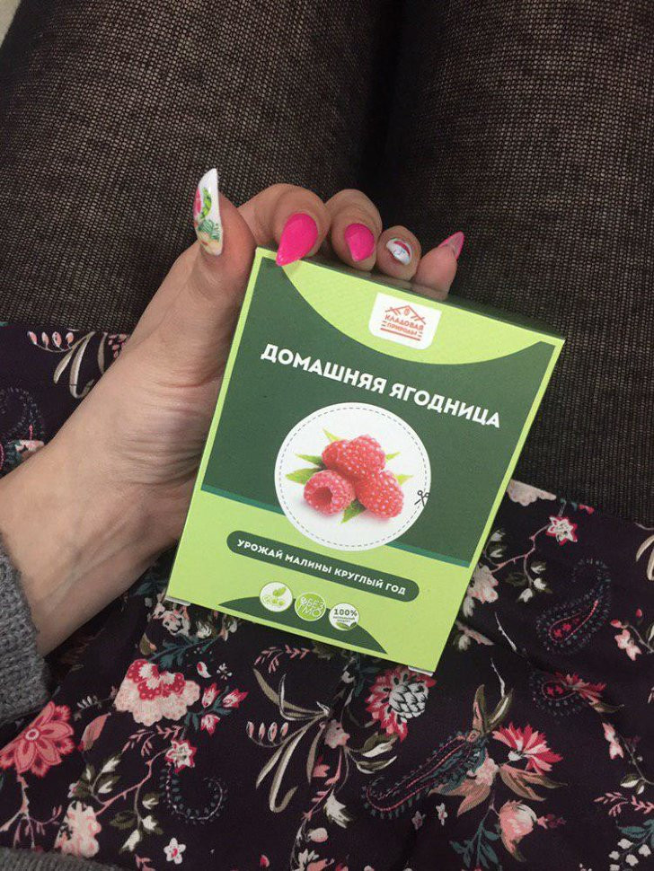 Домашняя ягодница в Курске в Курске