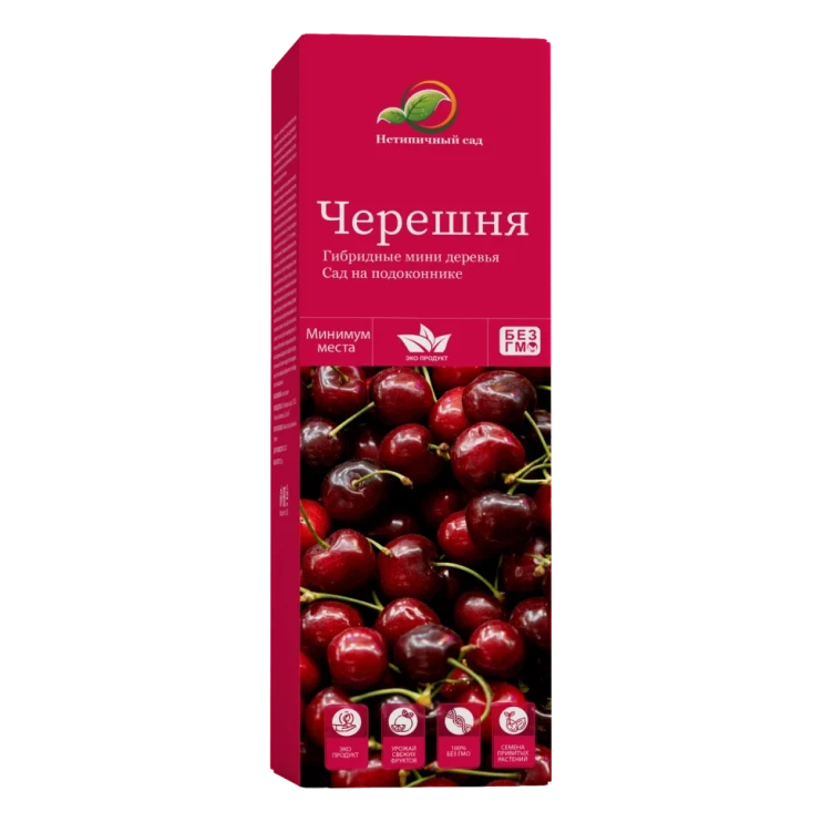 Мини-деревья Черешня в Туле