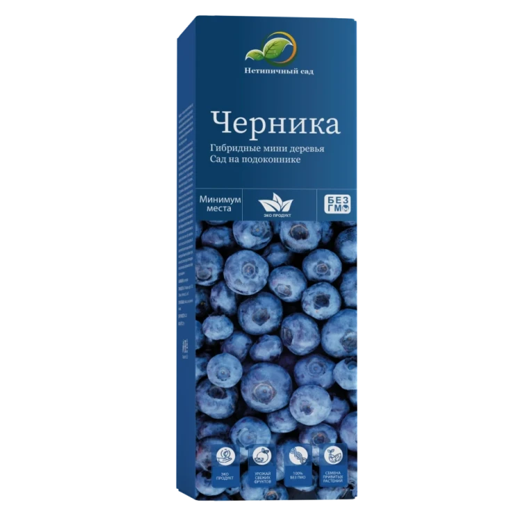 Мини-деревья Черника в Череповеце в Череповеце