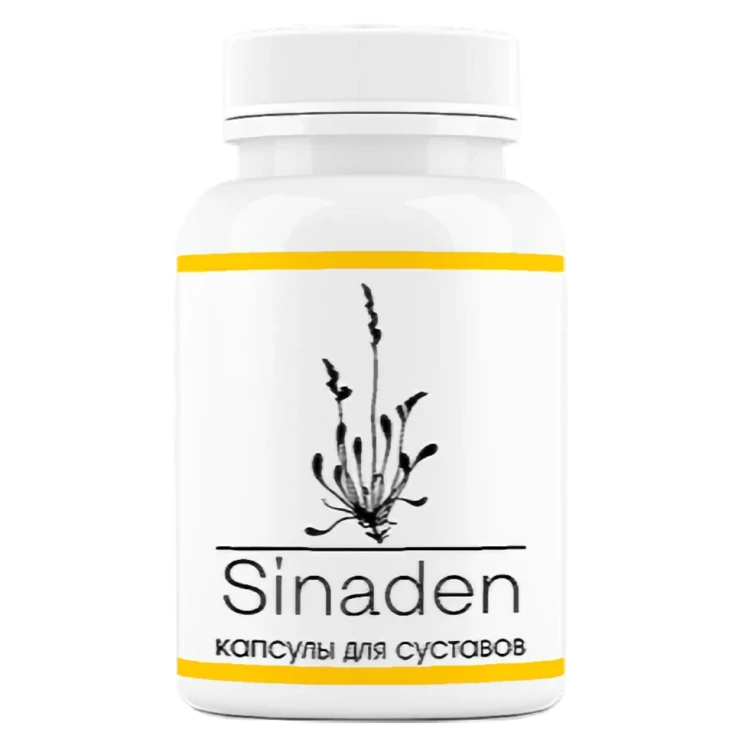 Sinaden в Череповеце в Череповеце