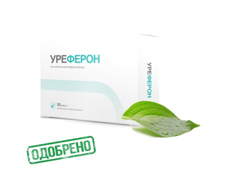 Уреферон в Калининграде