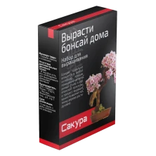 Набор для выращивания Бонсай