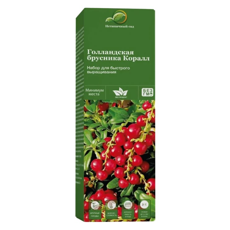 Набор для выращивания Брусники Коралл в Москве в Москве