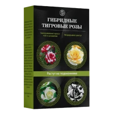 Тигровые розы