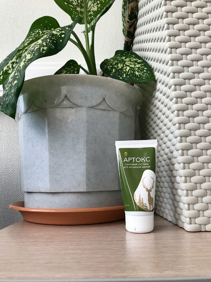 Артокс в Курске