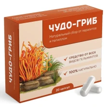Чудо-Гриб от паразитов