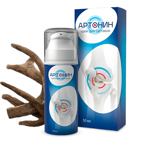 Артонин в Курске