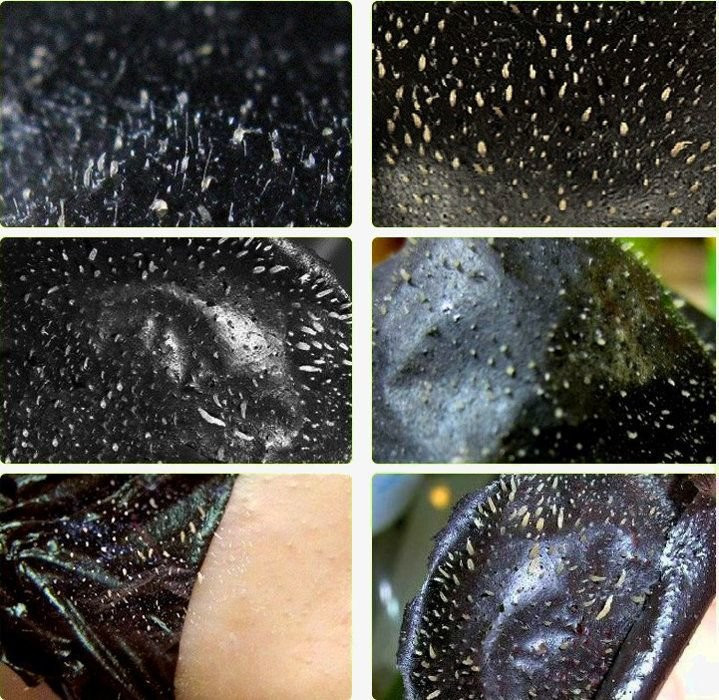 Black Mask в Костроме в Костроме