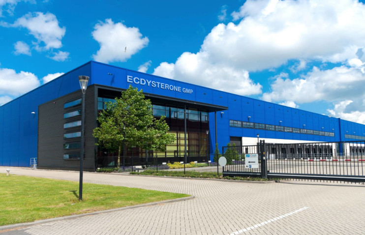 Ecdysterone в Кургане