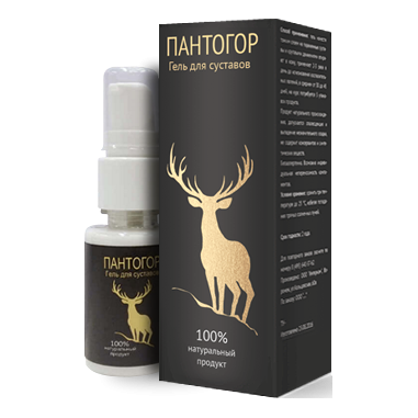 Пантогор в Санкт-Петербурге в Санкт-Петербурге