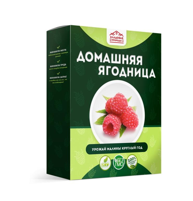 Домашняя ягодница в Санкт-Петербурге