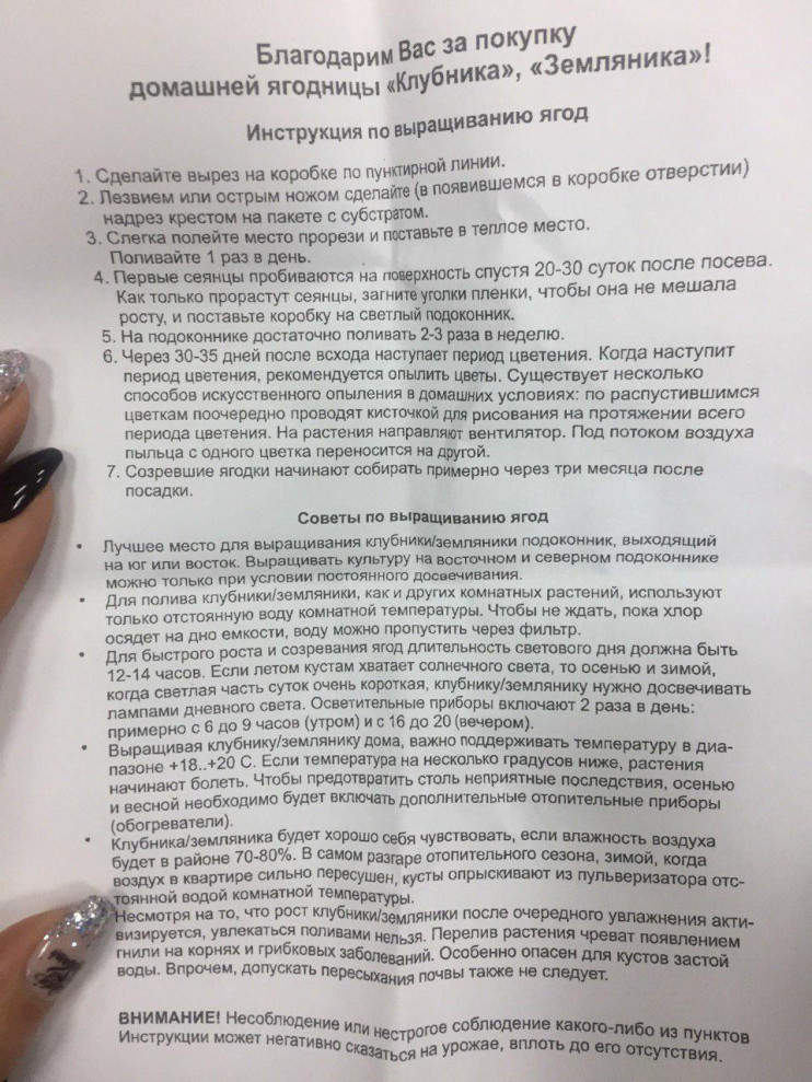 Домашняя ягодница в Санкт-Петербурге