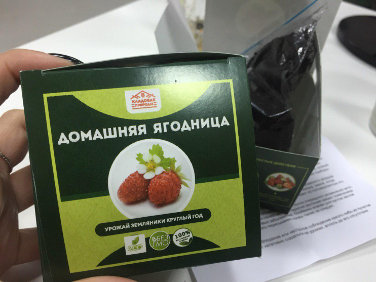 Домашняя ягодница в Санкт-Петербурге