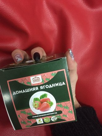 Домашняя ягодница в Новосибирске