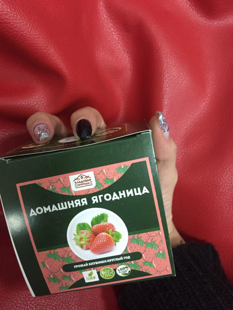 Домашняя ягодница в Санкт-Петербурге