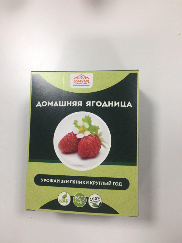 Домашняя ягодница в Санкт-Петербурге