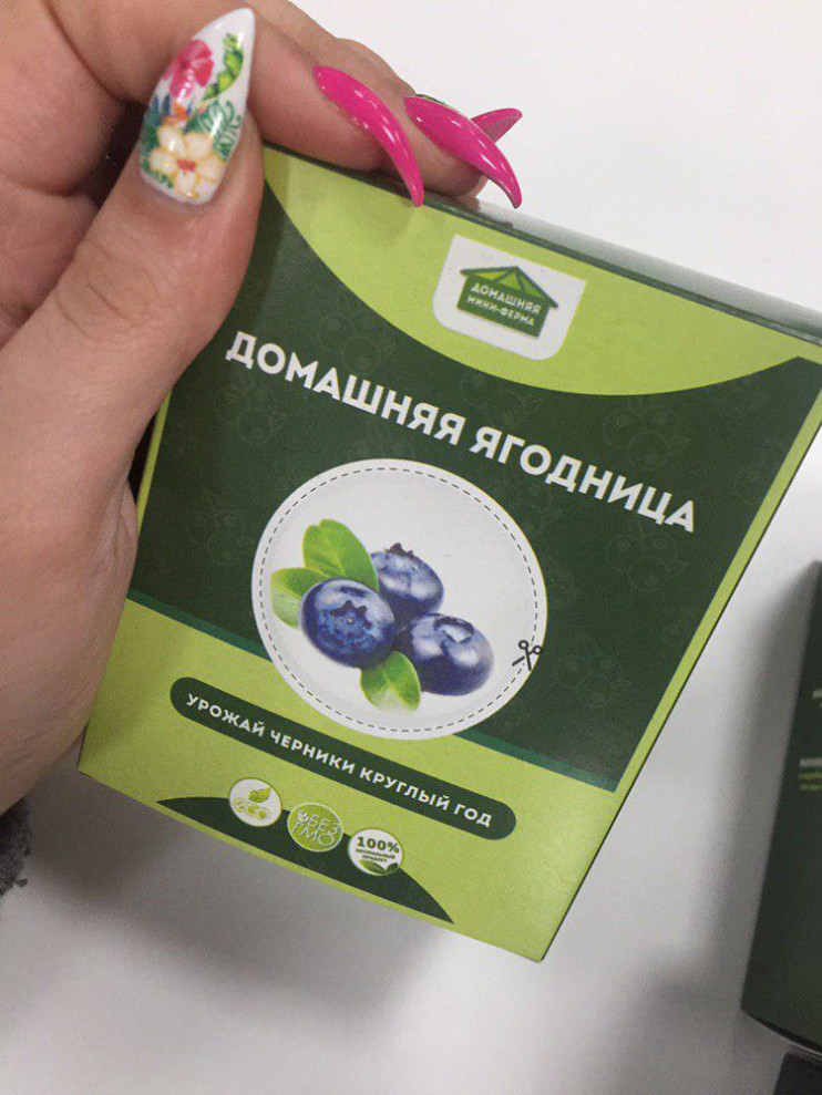 Домашняя ягодница в Санкт-Петербурге