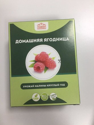 Домашняя ягодница в Екатеринбурге